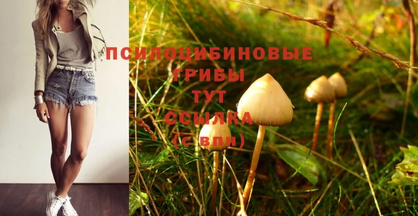 дурь Белоозёрский