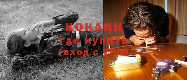 mix Белокуриха