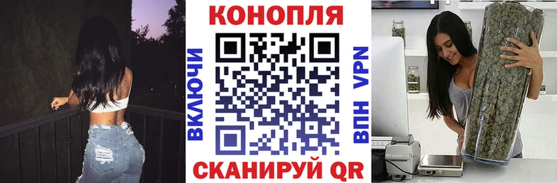 Конопля Ganja  Бородино 